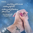 دیجی حميد خارجی - رز 275