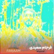فرجام سعیدی - آمستردام
