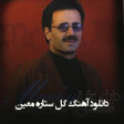 معین - گل ستاره