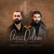 شادمهر و ناصر عبداللهی - عزیز دلم
