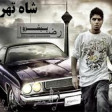 رضا پیشرو - شاه تهران